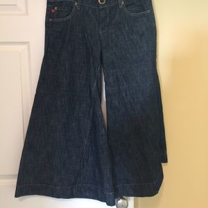 Level 99  denim gauchos Wide Leg Low Rise